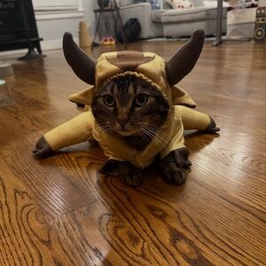 Avatar The Last Airbender Appa Pet Costume for Dogs/Cats